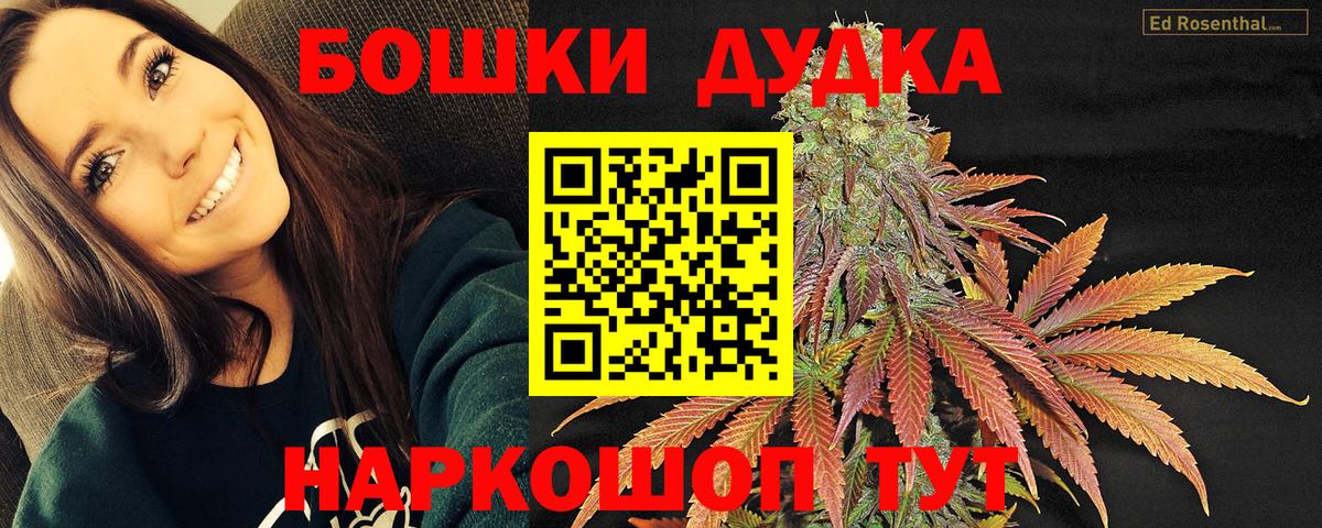 Волжский  Канабис VHQ  Вход с VPN  Бошки марихуана сатива 